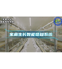 �������L(zh��ng)���ܸ�֪ϵ�y(t��ng)